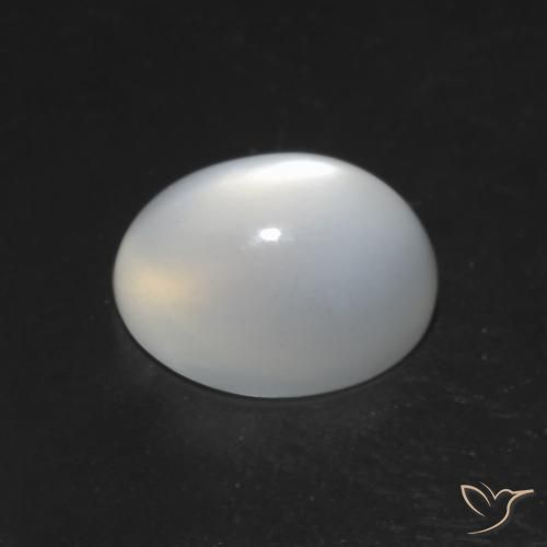 Cat's Eye Moonstone Gemstone in 8 x 6 mm (calibrated) Size for Sale, Cat's Eye Moonstone Stone in White Color