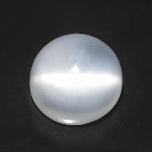 Translucent White Cat's Eye Moonstone Gem - 1.4ct Round Cabochon (ID: 545599)