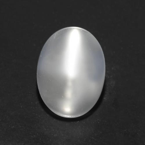 Translucent White Cat's Eye Moonstone Gem - 1.2ct Oval Cabochon (ID: 545602)