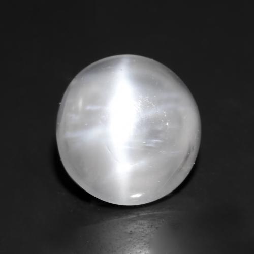 Blanc Oeil de chat de la Pierre de Lune gemme - 1.1ct Cabochon rond (ID: 545719)