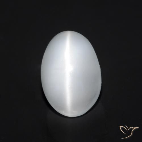 Piedra de Luna Ojo de Gato Blanco translúcido Ovalada de 1.08 ct de India, dimensión 7,3 x 5,1mm, piedra preciosa natural No tratado, claridad Transparente, Piedra de Luna Ojo de Gato Cabujón Óvalo de 1 pieza, dureza de Mohs de 6 - 6.5 , Photo A