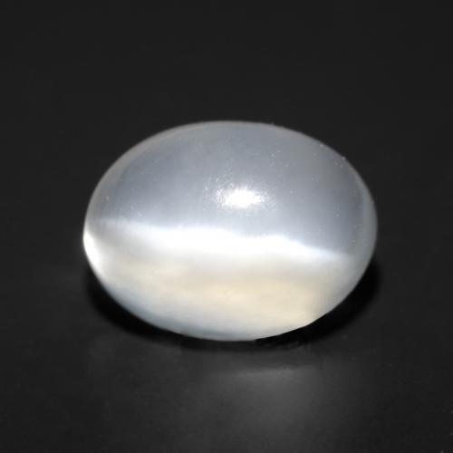 White Cat's Eye Moonstone Gem - 1.6ct Oval Cabochon (ID: 545755)