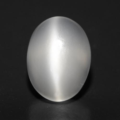 Translucent White Cat's Eye Moonstone Gem - 1.4ct Oval Cabochon (ID: 545757)