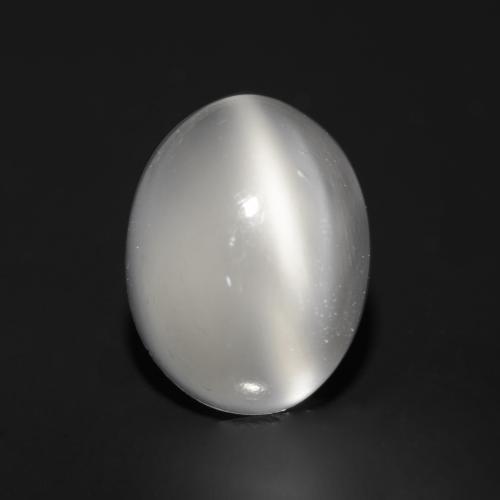 Белый Лунный Камень Кошачий Глаз Камень - 1.4ct Овал Кабошон (ID: 545758)