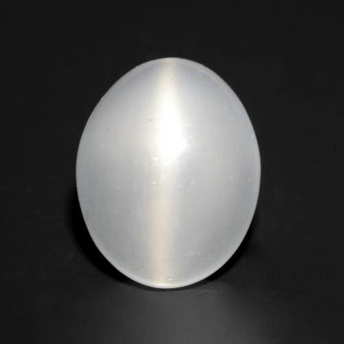 Белый Лунный Камень Кошачий Глаз Камень - 2.5ct Овал Кабошон (ID: 545856)