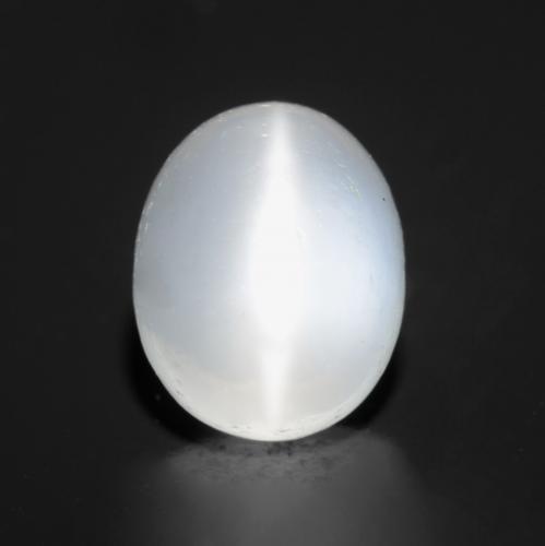Translucent White Cat's Eye Moonstone Gem - 2.7ct Oval Cabochon (ID: 545857)