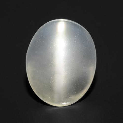 Translucent White Mondstein Katzenauge Edelstein - 1.4ct Oval Cabochon (ID: 545860)