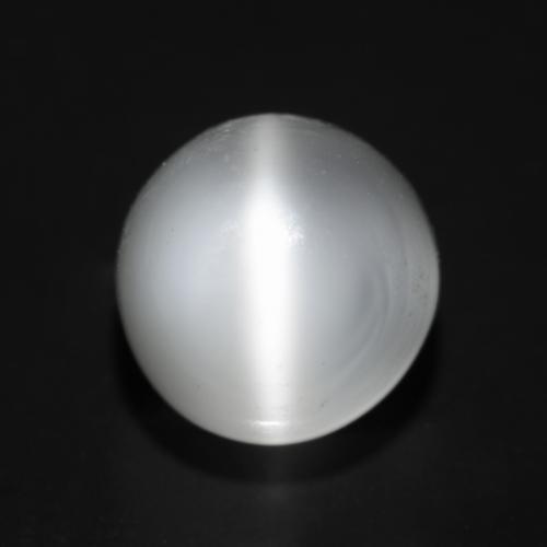 Translucent White Cat's Eye Moonstone Gem - 2.2ct Round Cabochon (ID: 546172)