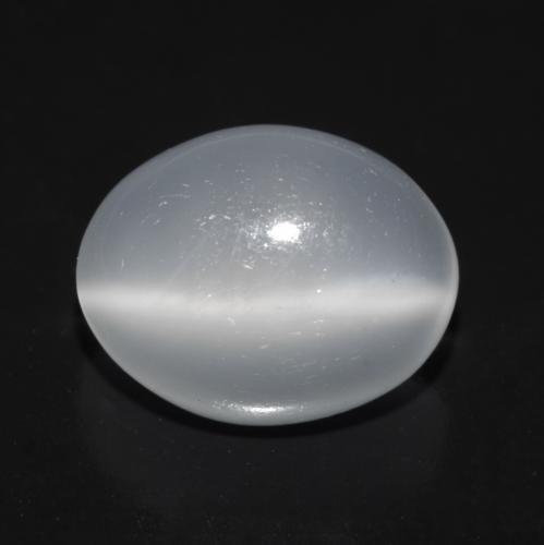 Oeil de chat de la Pierre de Lune Blanc oval cabochon de l'Inde, 10,3 x 8,1mm, poids de 2,75 ct, pierre gemme naturelle Non traité de pureté Transparent, 1 pièce Oeil de chat de la Pierre de Lune, couleur Blanc translucide, dureté Mohs de 6 à 6.5, Photo A