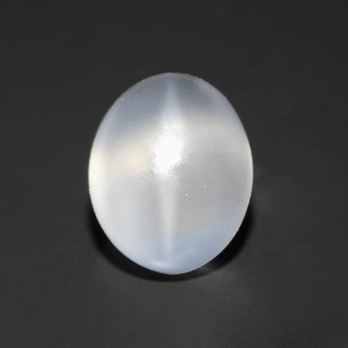 Translucent White Cat's Eye Moonstone Gem - 2.7ct Oval Cabochon (ID: 546230)