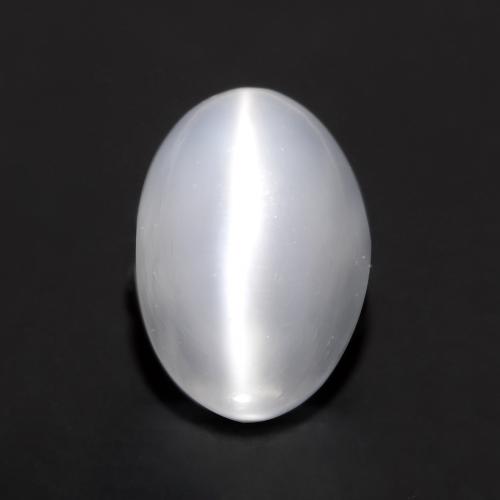 Translucent White Cat's Eye Moonstone Gem - 1.1ct Oval Cabochon (ID: 546309)