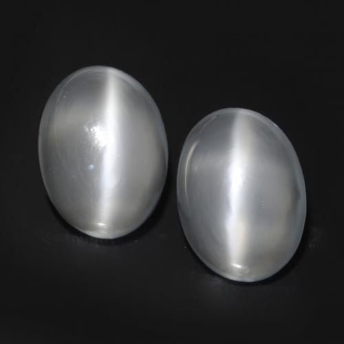 White Cat's Eye Moonstone Gem - 1.6ct Oval Cabochon (ID: 546318)