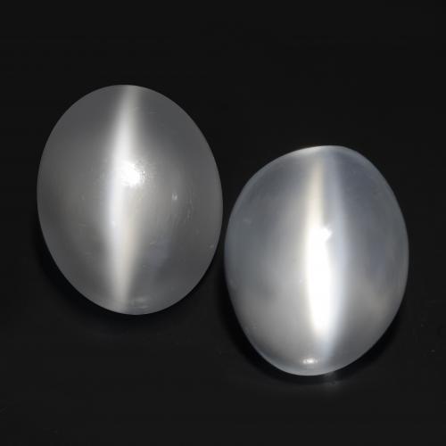 White Cat's Eye Moonstone Gem - 2.5ct Oval Cabochon (ID: 546321)
