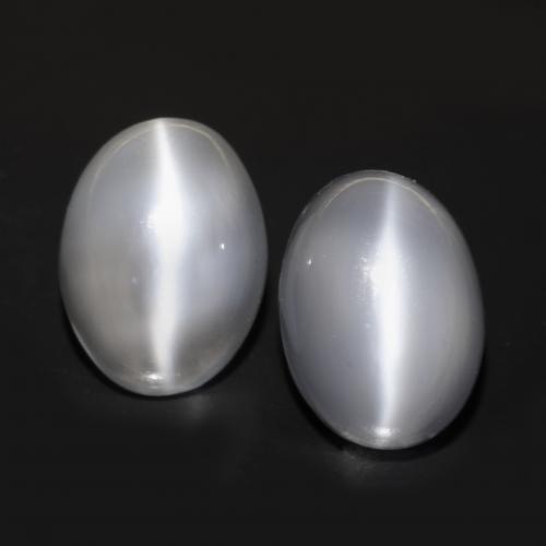 White Cat's Eye Moonstone Gem - 1.7ct Oval Cabochon (ID: 546327)