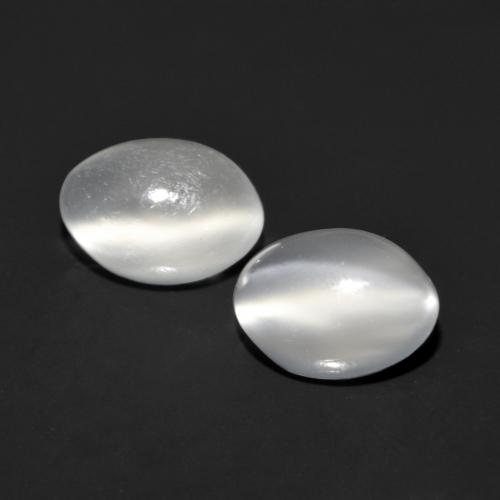 Bianco Pietra di Luna effetto occhio di gatto Gem - 0.8ct Ovale cabochon (ID: 557677)