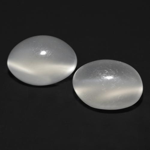White Cat's Eye Moonstone Gem - 1.1ct Oval Cabochon (ID: 558111)