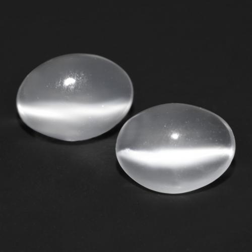 Clear White Cat's Eye Moonstone Gem - 0.7ct Oval Cabochon (ID: 558118)