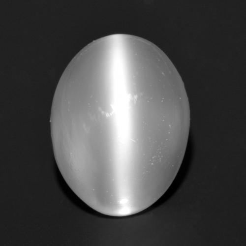 Белый Лунный Камень Кошачий Глаз Камень - 1.3ct Овал Кабошон (ID: 558323)