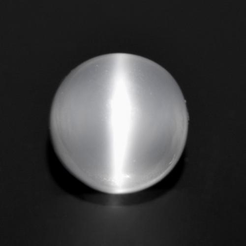5.7mm Round White Cat's Eye Moonstone from India, Weight of 1.09ct, Natural untreated Gemstone in Transparent Clarity, 1pc Round Cabochon Cat's Eye Moonstone - Color: White, Mohs Hardness of 6 - 6.5, Photo A