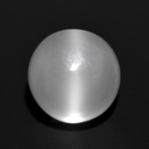 Weiß Mondstein Katzenauge Edelstein - 1.3ct Rund Cabochon (ID: 558884)
