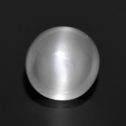Белый Лунный Камень Кошачий Глаз Камень - 1.2ct Круглый Кабошон (ID: 558885)