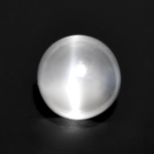 White Cat's Eye Moonstone Gem - 0.9ct Round Cabochon (ID: 558889)