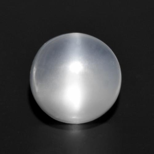 Oeil de chat de la Pierre de Lune Blanc Tour 6mm de l'Inde, poids de 1,01 ct, pierre gemme naturelle Non traité de pureté Transparent, 1 pièce Oeil de chat de la Pierre de Lune round cabochon, couleur : Blanc translucide, dureté de Mohs de 6 à 6.5, Photo A