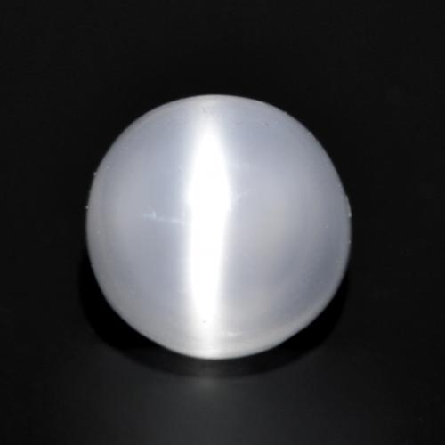 5.9mm Round White Cat's Eye Moonstone from India, Weight of 1.21ct, Natural untreated Gemstone in Transparent Clarity, 1pc Round Cabochon Cat's Eye Moonstone - Color: Translucent White, Mohs Hardness of 6 - 6.5, Photo A
