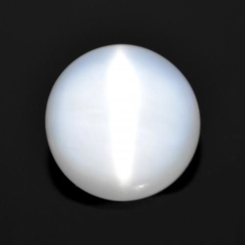 Blanco translúcido Piedra de Luna Ojo de Gato Gema - 2ct Cabujón Redondo (ID: 558892)