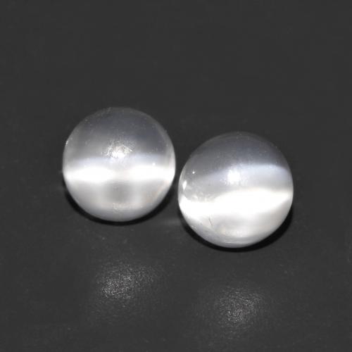 White Cat's Eye Moonstone Gem - 0.8ct Round Cabochon (ID: 590915)