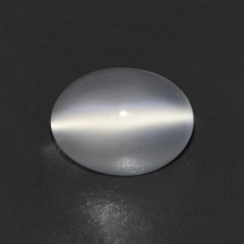 Clear White Pietra di Luna effetto occhio di gatto Gem - 1.3ct Ovale cabochon (ID: 612234)