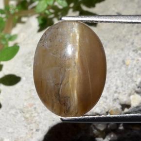 Earthy Brown Cat's Eye Opal Gem - 6.4ct Oval Cabochon (ID: 484205)