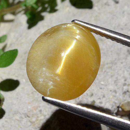 Golden Cat's Eye Opal Gem - 4.7ct Oval Cabochon (ID: 484209)