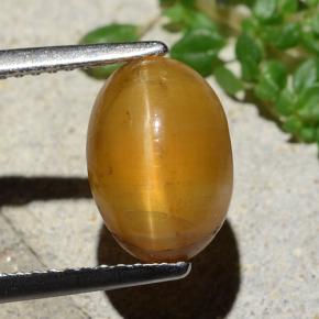 2.7ct Oval Cabochon Honey Yellow Cat's Eye Opal Gem for sale 2.7ct Oval Cabochon Honey Yellow Cat's Eye Opal Gem (ID: 484237)