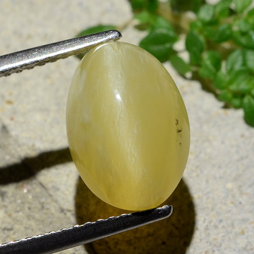 ライトイエロー キャッツアイオパール 宝石 - 4.9ct オーバル カボション (ID: 484238)
