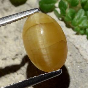 1.4ct Oval Cabochon Honey Yellow Cat's Eye Opal for sale thumb image of 1.4ct Oval Cabochon Honey Yellow Cat's Eye Opal (ID: 484240)