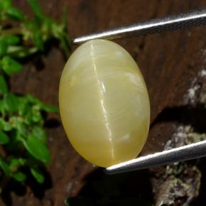 6.7ct Oval Cabochon Greenish Yellow Cat's Eye Opal for sale thumb image of 6.7ct Oval Cabochon Greenish Yellow Cat's Eye Opal (ID: 484273)