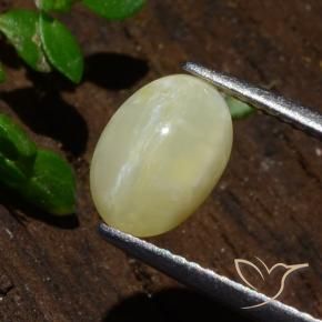1.80 ct Yellow Cat's Eye Opal Stone, Natural Cat's Eye Opal in Oval Cabochon Shape for Sale