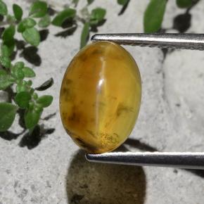 Golden-Brown Cat's Eye Opal Gem - 2.8ct Oval Cabochon (ID: 484282)