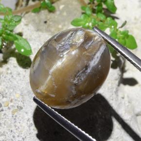 12.43 ct Brown Cat's Eye Opal Stone, Natural Cat's Eye Opal in Oval Cabochon Shape for Sale