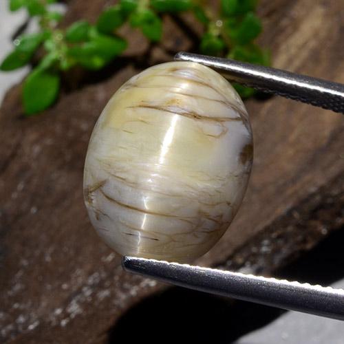 彩色 Cat's Eye Opal Gem - 11.5ct 椭圆形凸面型 (ID: 484313)