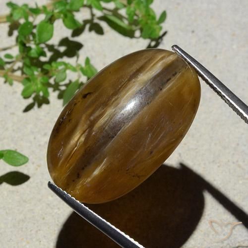 26.12 ct Brown Cat's Eye Opal Stone, Natural Cat's Eye Opal in Oval Cabochon Shape for Sale