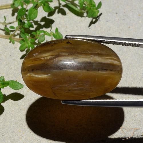 Cat's Eye Opal Gemstone in 26.5 x 16.8 mm Size for Sale, Cat's Eye Opal Stone in Pecan Brown Color