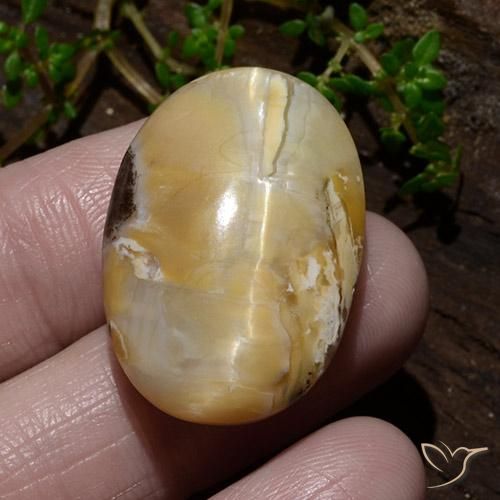 31.48ct Natural Multicolor Cat's Eye Opal, Oval, Opaque