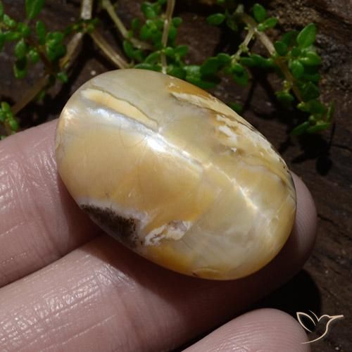 31.48 ct Multicolor Cat's Eye Opal Stone, Natural Cat's Eye Opal in Oval Cabochon Shape for Sale