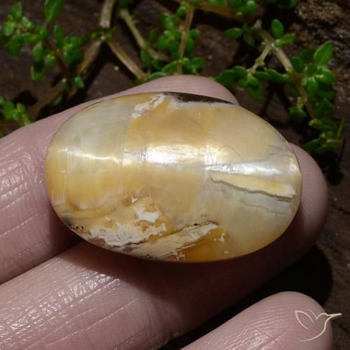 Cat's Eye Opal Gemstone in 27.1 x 18.7 mm Size for Sale, Cat's Eye Opal Stone in Multicolor Color