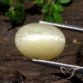 3.68 ct Yellow Cat's Eye Opal Stone, Natural Cat's Eye Opal in Oval Cabochon Shape for Sale