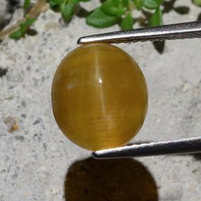 4.3ct Oval Cabochon Honey Cat's Eye Opal Gem for sale 4.3ct Oval Cabochon Honey Cat's Eye Opal Gem (ID: 484390)
