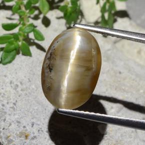 シーダーブラウン キャッツアイオパール 宝石 - 4.9ct オーバル カボション (ID: 484391)