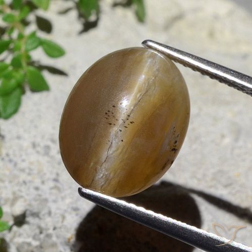 Ópalo Ojo De Gato Ovalado De 5,89 Quilates, 13,7 x 10,5 mm De Madagascar, Photo A